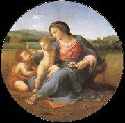 Aragon jose Rafael Albums Madonna oil painting